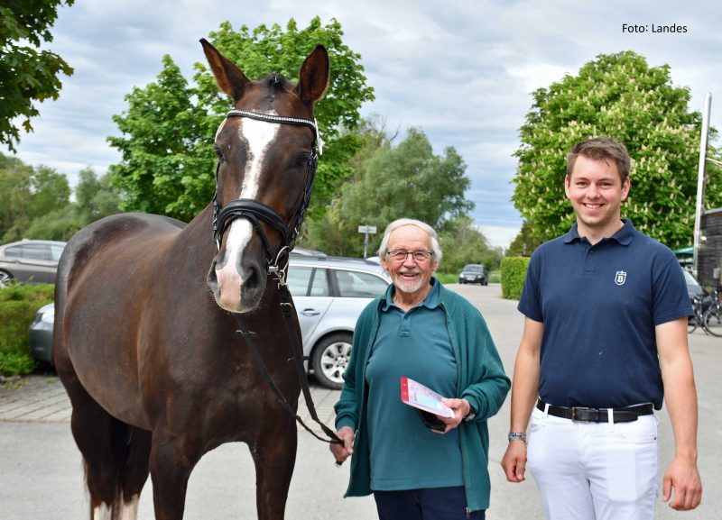 Stutbuchaufnahme: Amiga Top