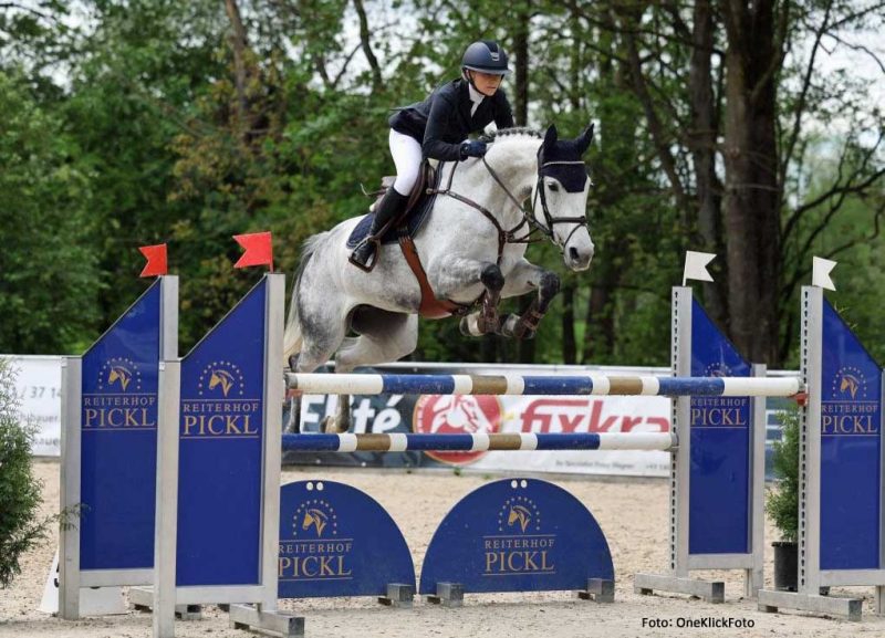 Stutbuchaufnahme: Orchidee von Odessa