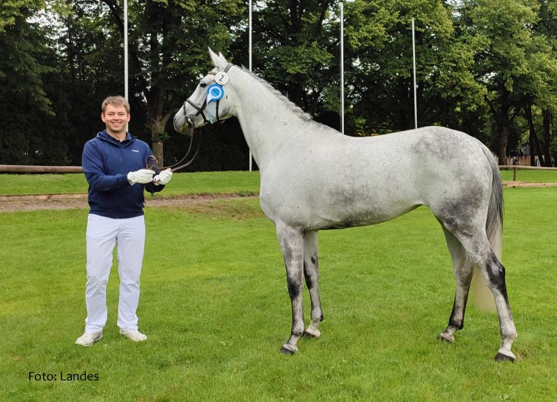 Landesschau 2024: Orchidee von Odessa