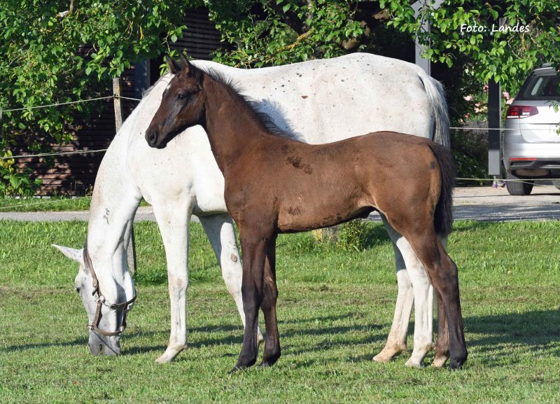 Der Eindruck hält...