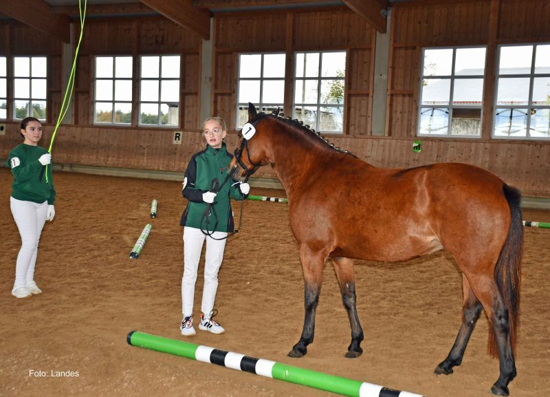 Titel erfolgreich verteidigt!