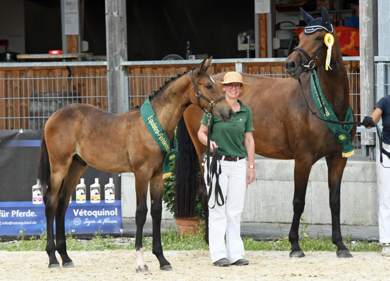 30. Equistro Fohlencup: 1. Platz für Balou Aurel!