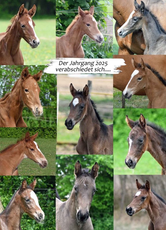 Au revoir - es war uns eine Ehre...