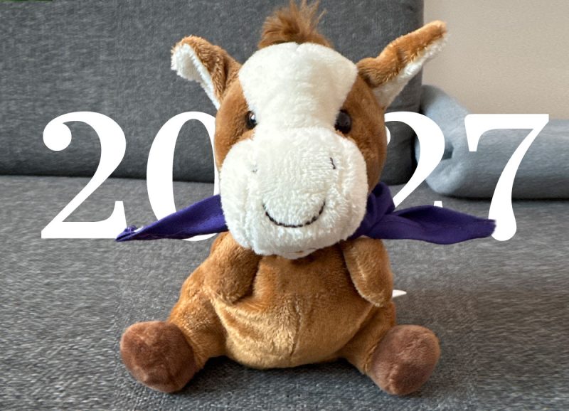 Ihr Wunschfohlen 2027?