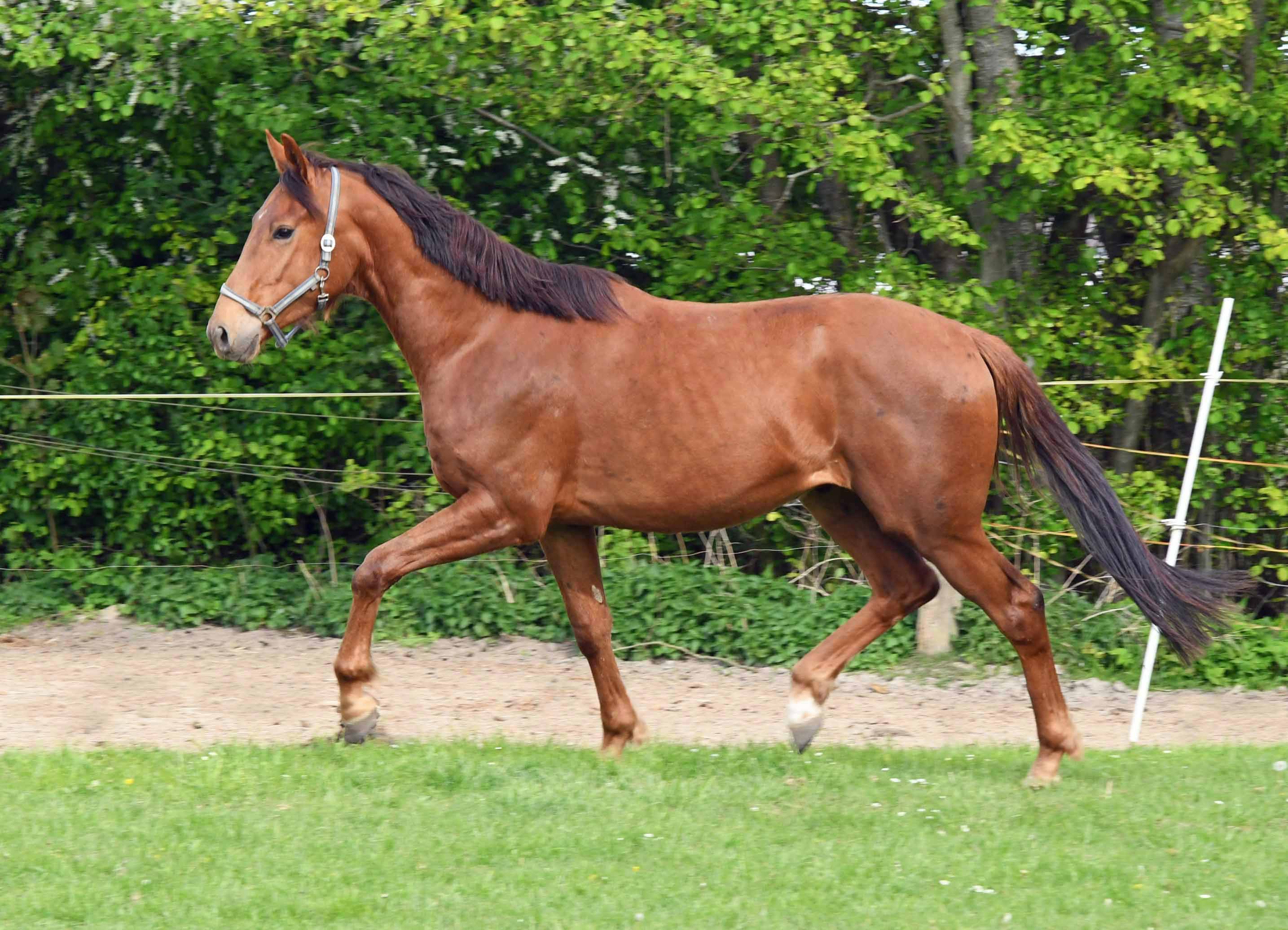 Welcome home: Jazzy James