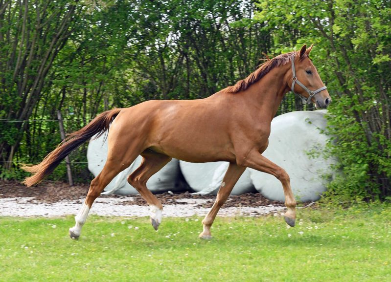 Welcome home: Werthvoll